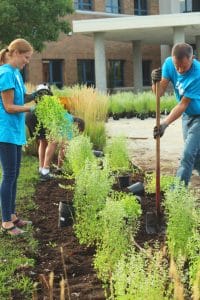 Volunteers planting a garden.
